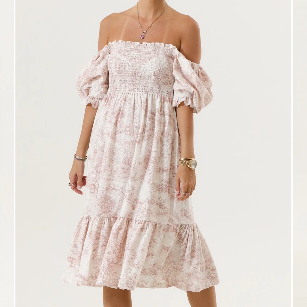 Nothing Fits But Sakura Dress in Pink Toile